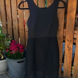 BCX womens black net fitted Black mini dress